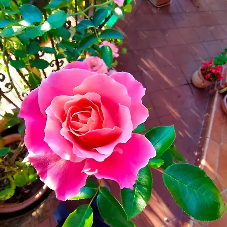 La Casa Del Sole 산레모