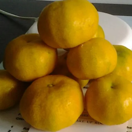 בית הארחה La Casa Del Sole 3*