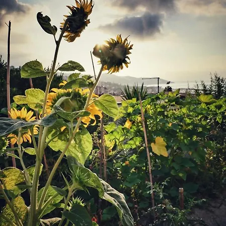 La Casa Del Sole 게스트하우스