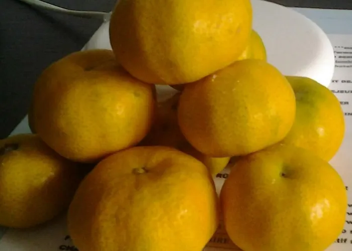 招待所 La Casa Del Sole 3*