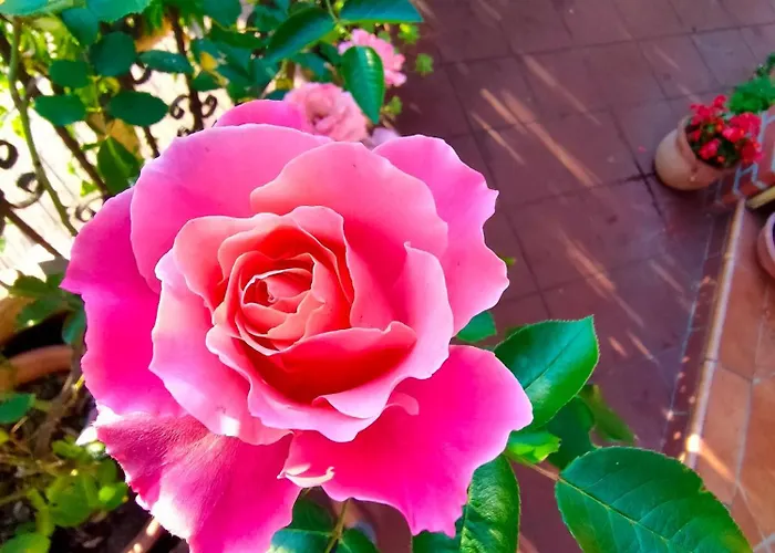 La Casa Del Sole 산레모