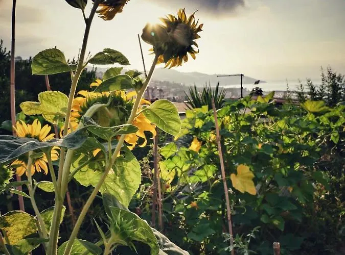 La Casa Del Sole Maison d'hôtes